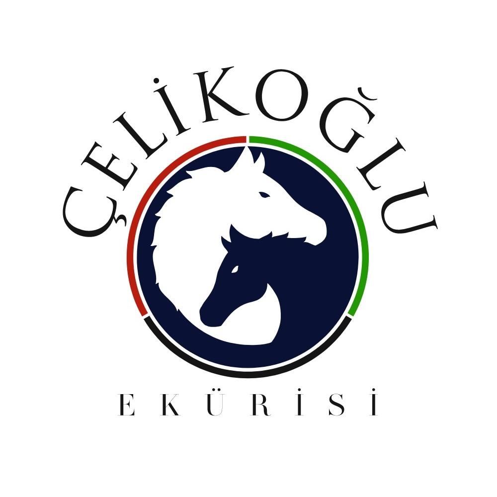 Çelikoğlu Ekürisi & Harası tweet media