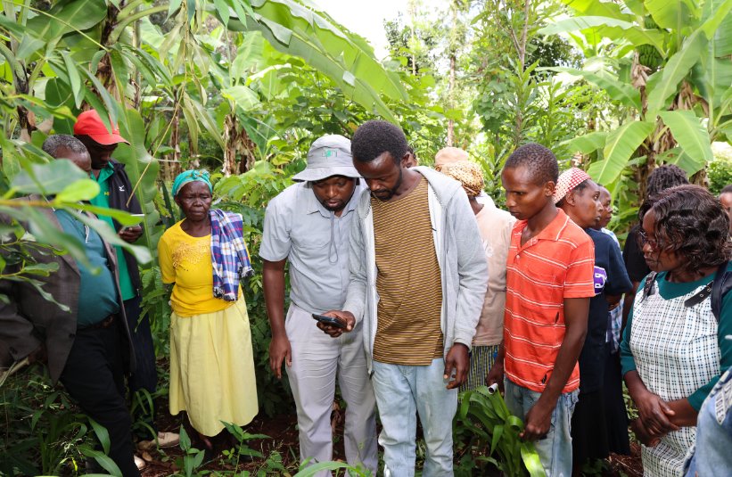 PlantAfrican's tweet photo. Transforming Farming with AI!
APNI, in partnership with @OCPNutricrops, hosted a successful #AgriAI Field Day in Embu County, bringing together farmers, researchers, extension officers, and other stakeholders to explore how artificial intelligence can transform smallholder farming.
Participants got hands-on with the Agri-AI mobile app, which uses smartphone images to detect crop nutrient deficiencies and pests. During live field demos, farmers scanned real crop leaves, successfully identifying issues like fall armyworm and phosphorus deficiency —and received instant, practical advice.
#AgriAI #SmartAgriculture #DigitalFarming #SoilHealth #FarmTech #SmallholderSolutions #AgInnovation #EmbuCounty