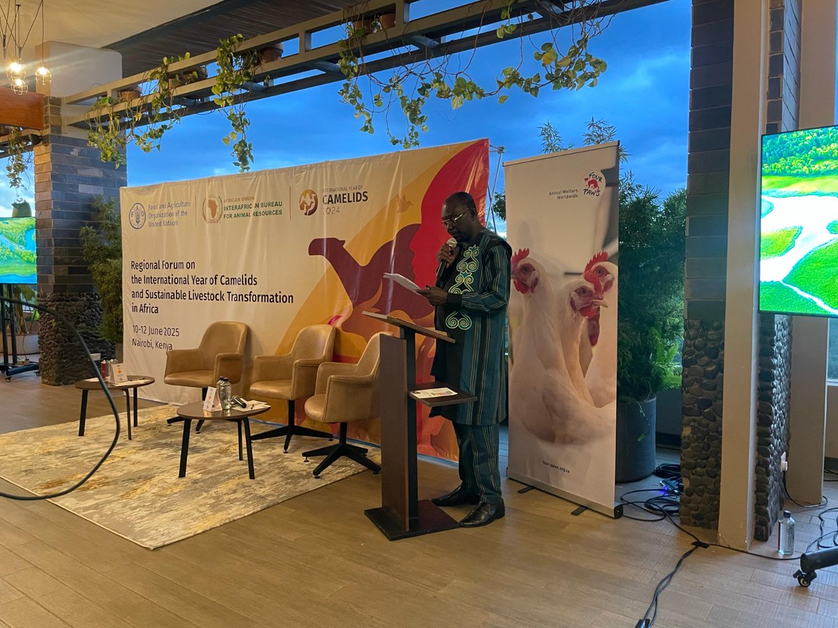 FOURPAWSZA's tweet photo. "By strengthening animal welfare management we improve animal health and reduce the dependency on routine antimicrobial use and reduce antimicrobial resistance (AMR) risks". - Dr. Hiver Boussini (@au_ibar)

#IYC2024 #SustainableLivestock https://t.co/Sy0dTrzzIP
