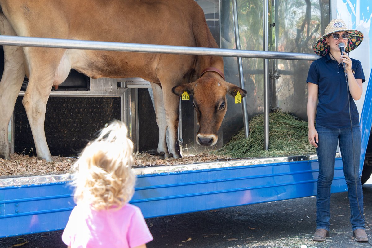 Yesterday’s Medley Station Summer Meals Kickoff brought loads of food and fun to A.K. Smiley Library! 🥕🎉  Families came out to start summer with 🫐 fresh fruit &amp; veggie taste tests, 👩‍🎨 face painting, 🌈 sensory fun, 🐮 a live cow, and more! #ThisisRUSD