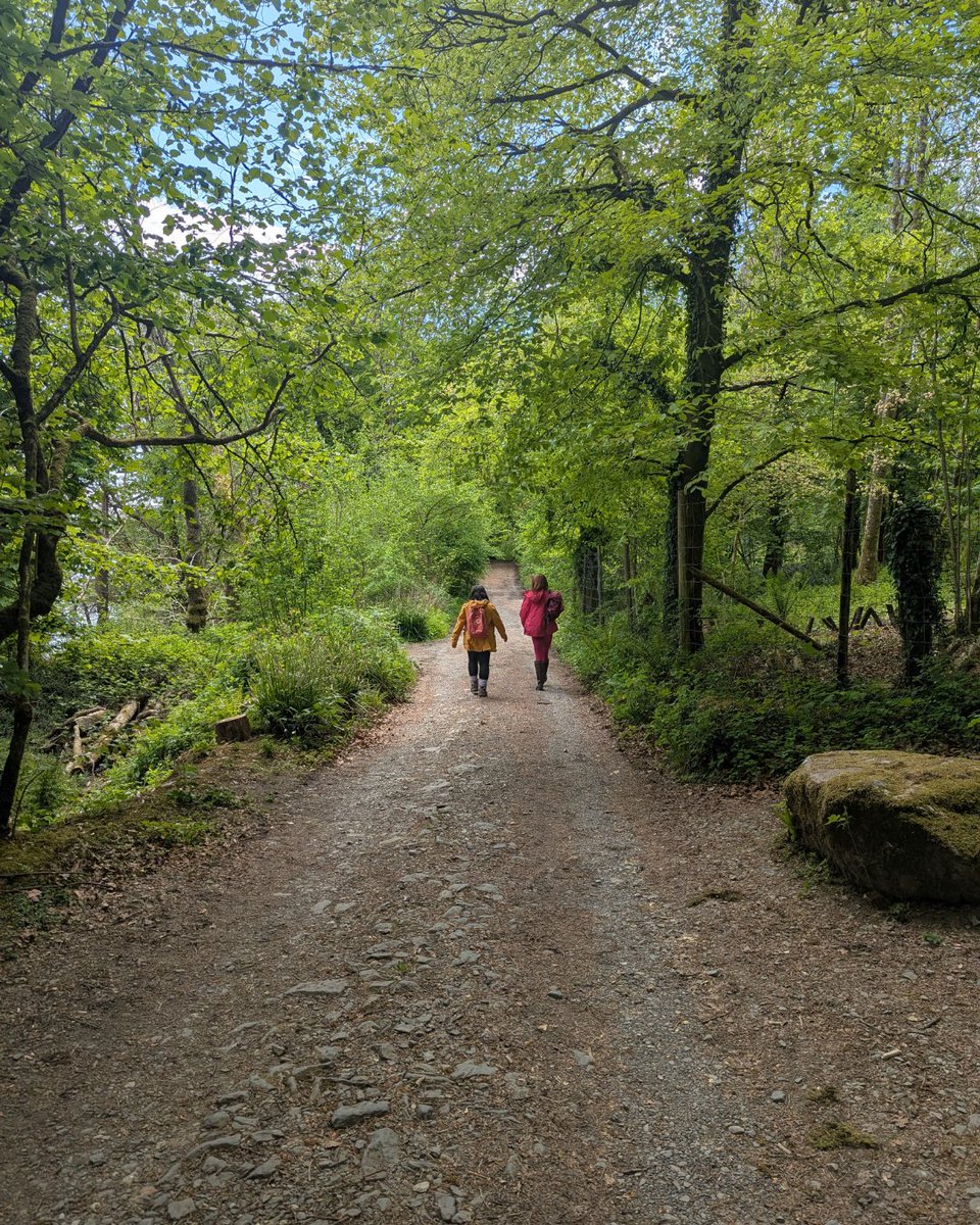 🛥️ Explore Windermere car-free with the Walkers Ticket!

3 relaxing cruises + a 4.5-mile lakeside walk = a stunning circular day out 🌳🌊

✅ Family-friendly
✅ Breathtaking views

Plan your day 👉 ow.ly/wVvc50W1qIR

#Windermere #LakeDistrictWalks #FamilyDaysOut