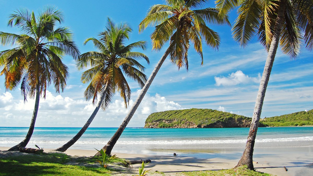 weather2travel's tweet image. Which is the best popular Caribbean island for a holiday? From St Lucia’s fantastic food scene to Grenada’s crowd-free beaches &amp;amp; Cuba’s countless UNESCO World Heritage sites, pick the best island for you here ☀️ weather2travel.com/blog/best-cari… @TamaraHinson