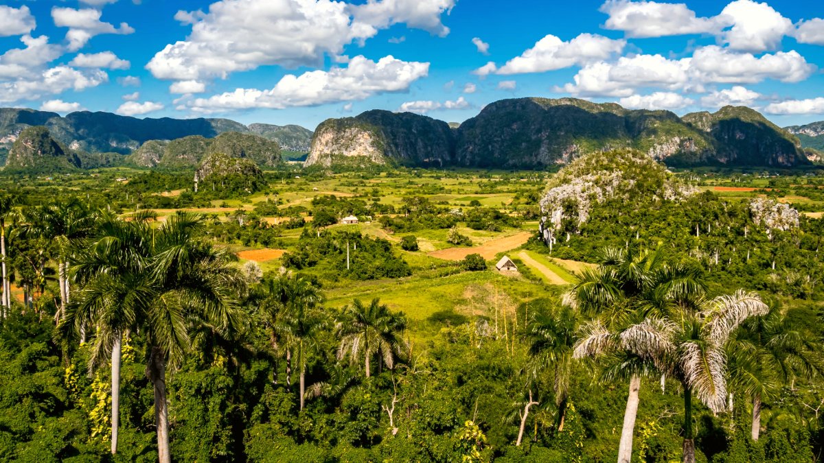weather2travel's tweet image. Which is the best popular Caribbean island for a holiday? From St Lucia’s fantastic food scene to Grenada’s crowd-free beaches &amp;amp; Cuba’s countless UNESCO World Heritage sites, pick the best island for you here ☀️ weather2travel.com/blog/best-cari… @TamaraHinson