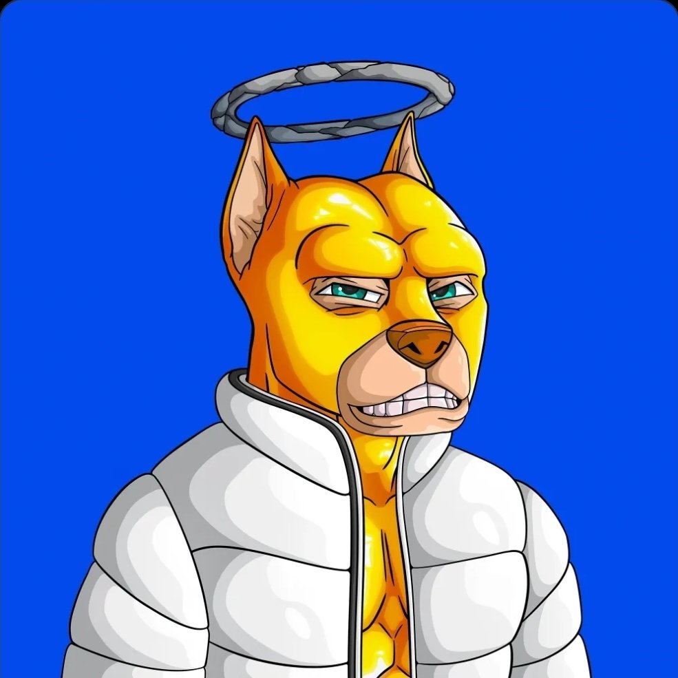🦍JaySovereign⛩️DSKDAO⚔️ (@jaysovereignn) on Twitter photo Gratitude is the golden key 🔑 💯 Hope everyone has a blessed and prosperous day 🙏
<a href="/ApeAlphaDogs/">ALPHA DOGS ON APE</a> Gratitude is the golden key 🔑 💯 Hope everyone has a blessed and prosperous day 🙏
<a href="/ApeAlphaDogs/">ALPHA DOGS ON APE</a>