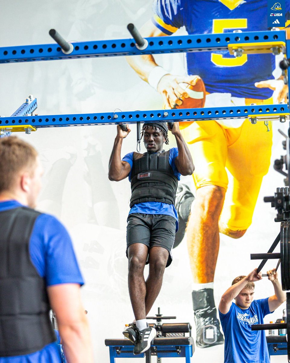 Delaware Football tweet media