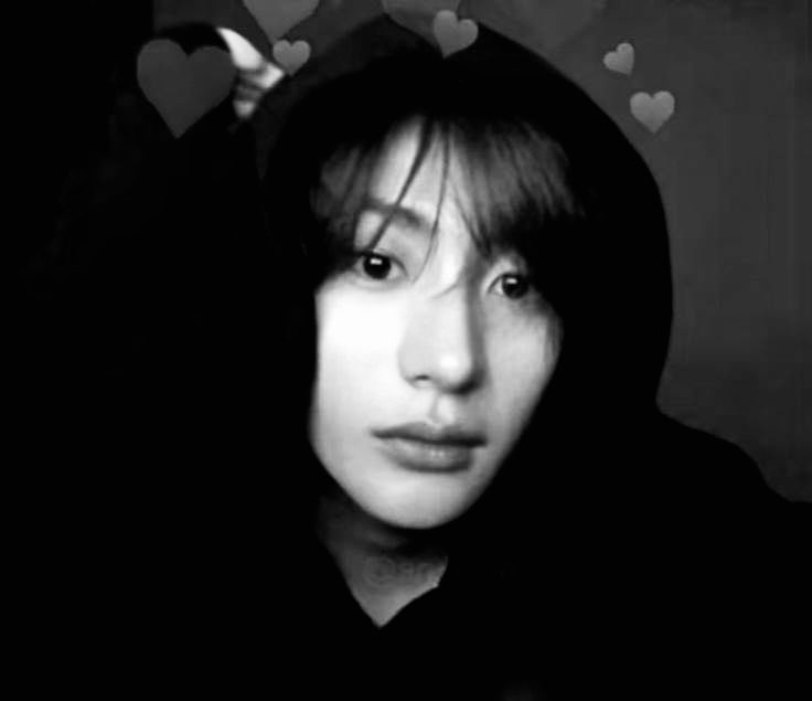 florayn (@gfl7nvx) on Twitter photo 