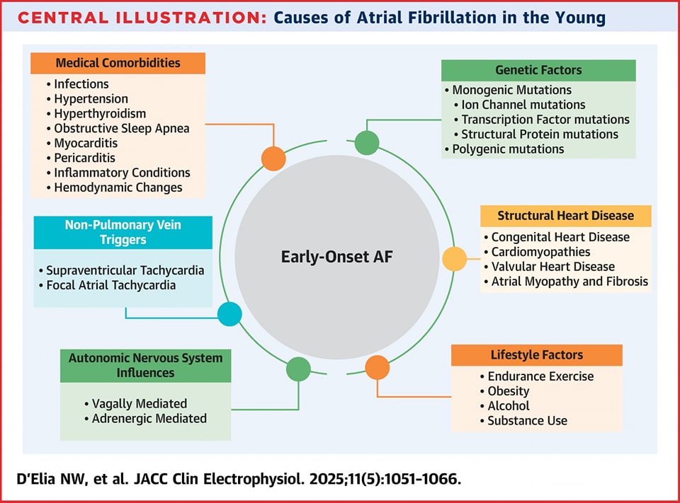 The Heart (@zheart11768530) on Twitter photo 🔴Atrial Fibrillation in the Young: Pathogenesis and Clinical Implications⤵️ State-of-the-Art #2025Review <a href="/JACCJournals/">JACC Journals</a>
🔹jacc.org/doi/10.1016/j.…
#Cardiology #Epeeps #CardioTwitter #MedEd #medical #medtwitter #cardiotwiteros #CardioEd #Cardiox 🔴Atrial Fibrillation in the Young: Pathogenesis and Clinical Implications⤵️ State-of-the-Art #2025Review <a href="/JACCJournals/">JACC Journals</a>
🔹jacc.org/doi/10.1016/j.…
#Cardiology #Epeeps #CardioTwitter #MedEd #medical #medtwitter #cardiotwiteros #CardioEd #Cardiox