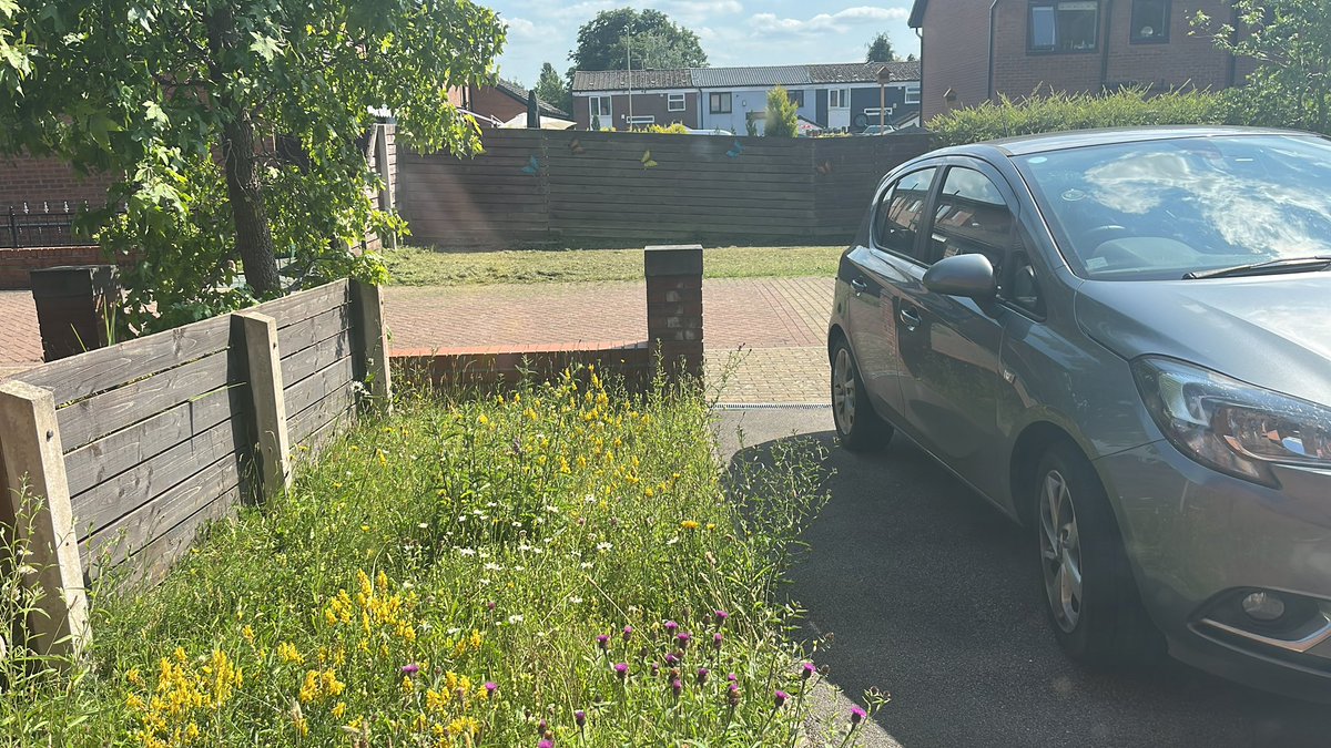 joshual951's tweet image. Approximately 15sqm, the only area managed by @RiversideUK allowed to grow over summer, and they’ve caved in and decimated it.
The amount of time & energy it’s taken for @RiversideUK to leave this patch alone, from community petitions to seed application, has been massive 🌱