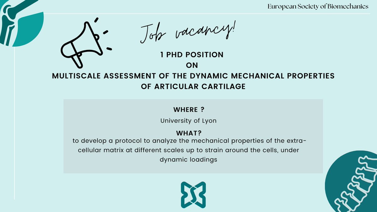 ESBiomech's tweet image. 📢PhD position open at the University of Lyon on experimental biomechanics of articular cartilage!

More info and deadlines 👉 esbiomech.org/2-phd-position…