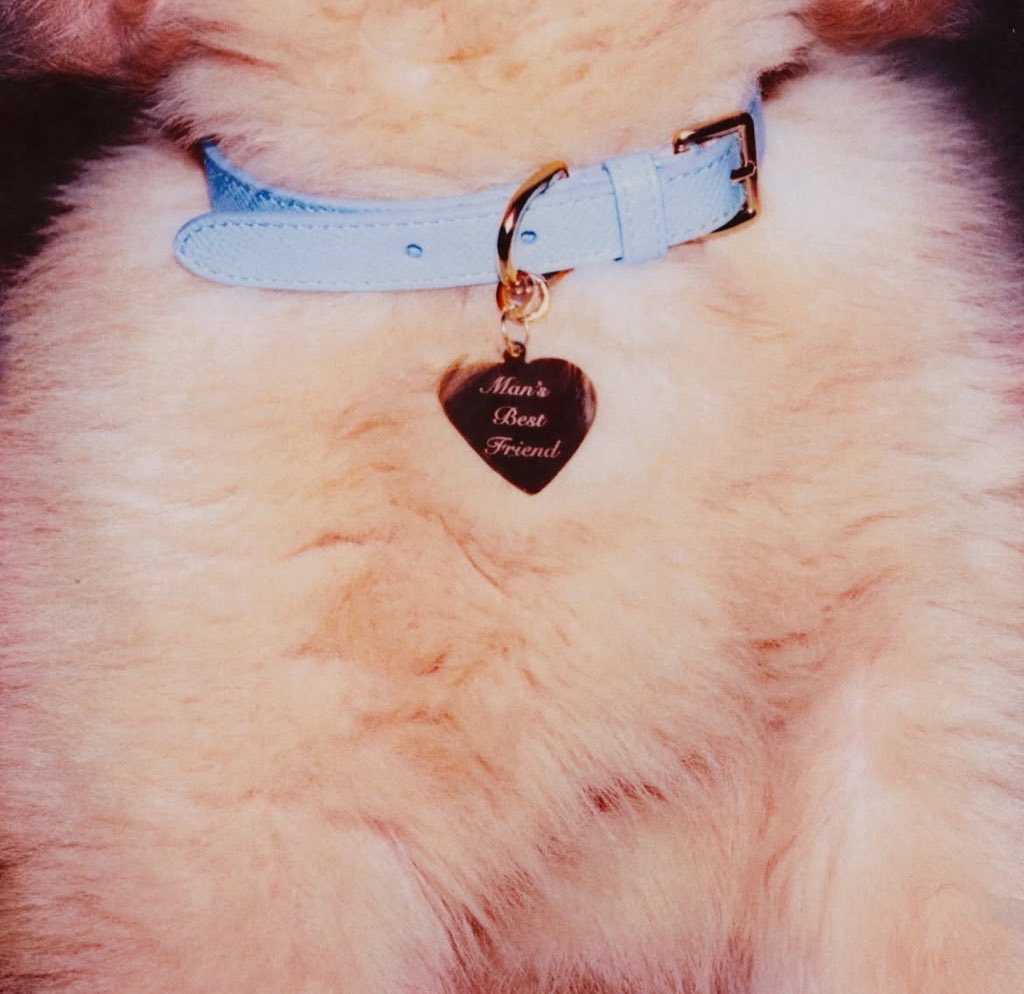 busy puppy unless sabrina is free that day!!