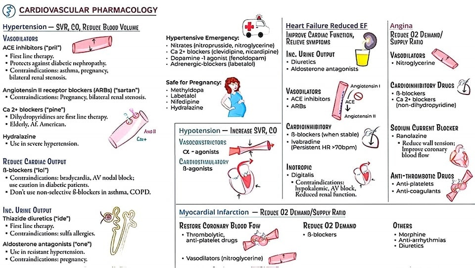 ZHeart11768530's tweet photo. 🔴Cardiovascular Pharmacology📚⤵️🔹

 #Cardiology #FOAMed #MedEd #medstudent #paramedic #Cardiology #CardioEd #medtwitter #meded #CardioTwitter #cardiotwiteros  #MedX #cardiovascular #MedTwitter #medical #medEd #cardiotwitter #medicineball #GDMT #HFrEF https://t.co/r6j35IqBOd
