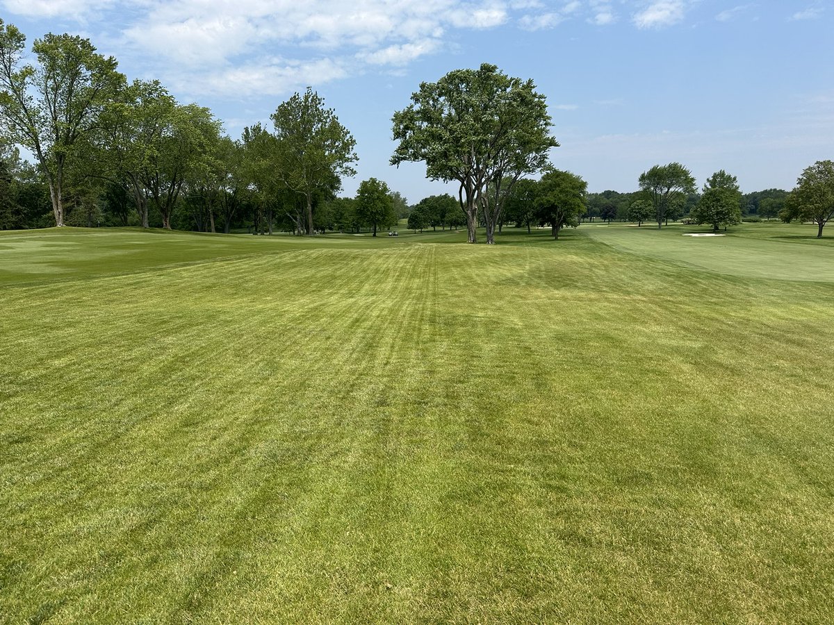 Steve-o with the 20” wide stripe show!
AM stimp 12’