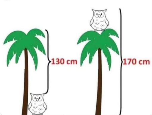 Rainmaker1973's tweet image. What is the height of the owl?
