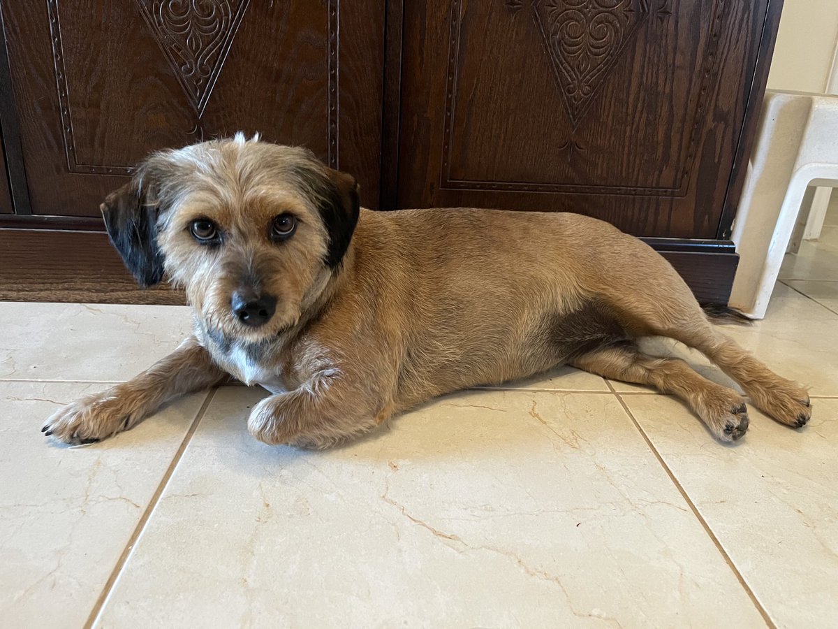 Pavel Mavrin tweet media