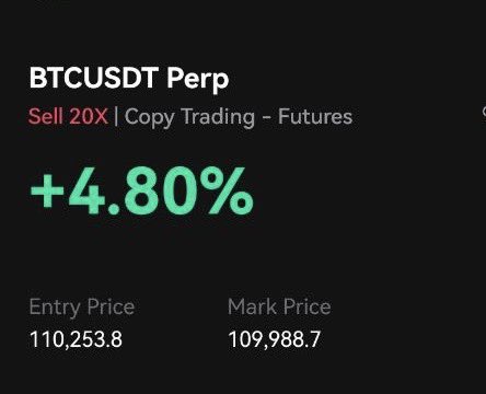 Shorted $BTC at current levels.

Encountering resistance with numerous over-leveraged longs likely to be hit below.

Stop-loss placed at $113k, but I’ll close the position if it breaks above $110k.