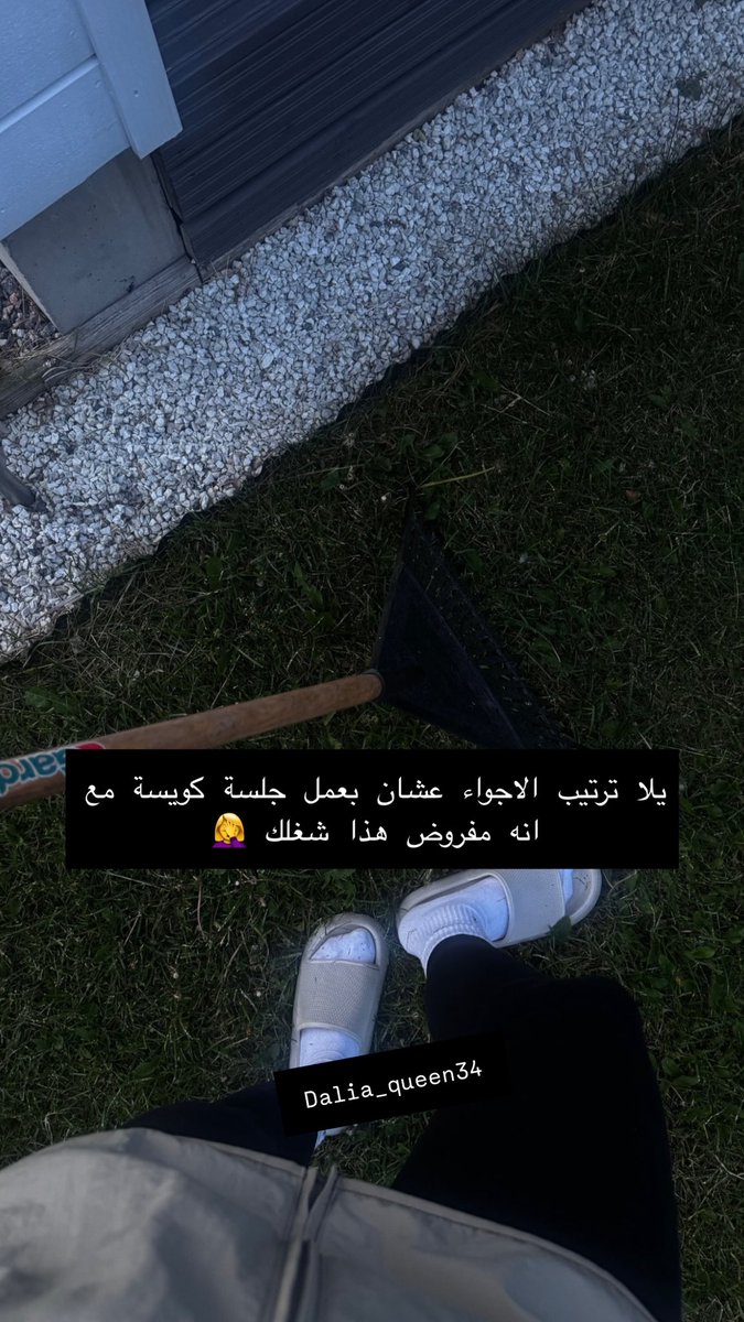 dalia_queen34's tweet photo. بنظف الاجواء بره وانت حضر نفسك تتعشى اليوم من اسفل نعالي حشيش 🦦

امك فهي تاكل الزقه كالعادة عشان صحتها ولازم تاكل صحي وانا طبعي كريمة معاها العجوز الواطية https://t.co/zaj9bnOk8C