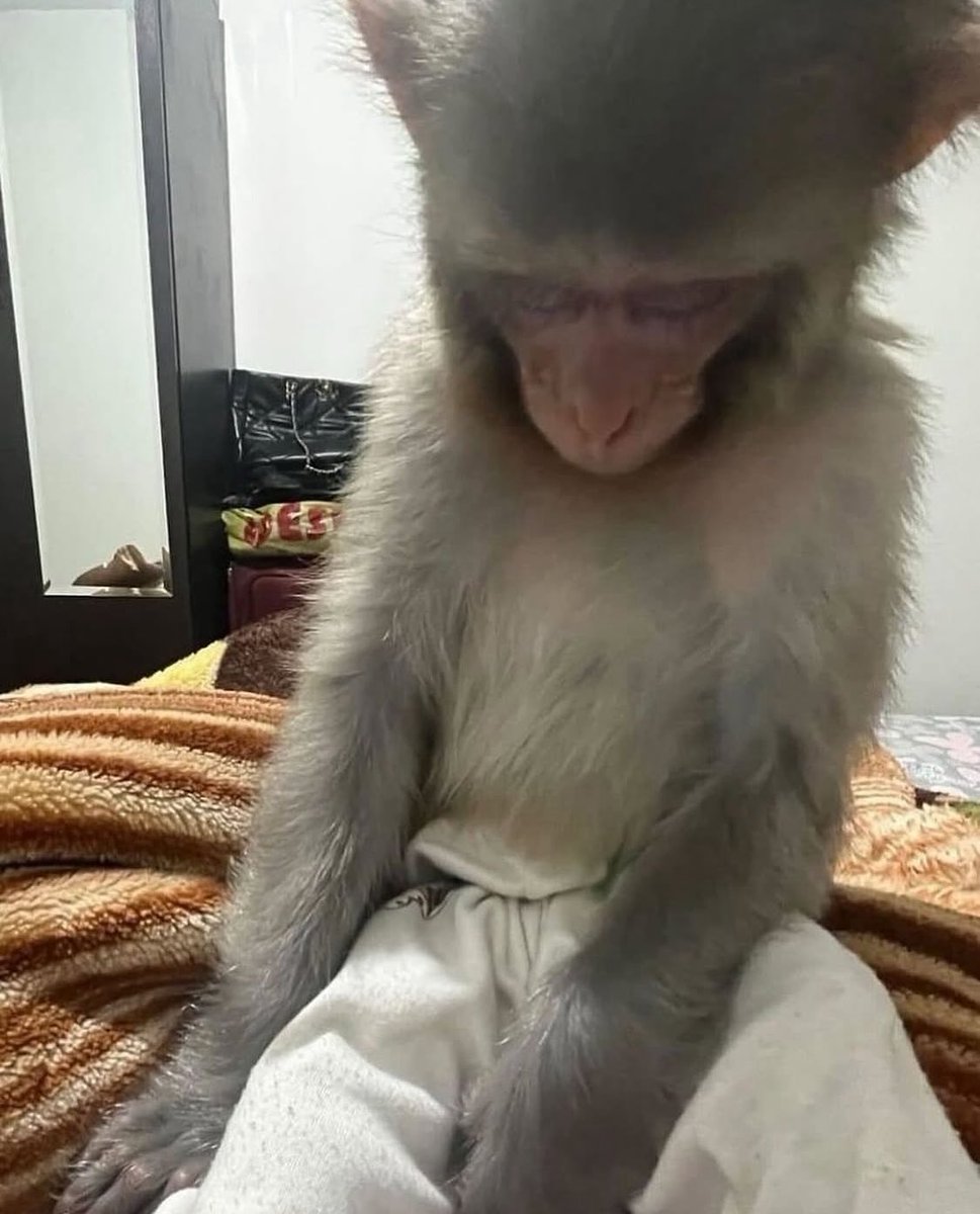 아름다운재단 - 열여덟 어른 캠페인 시즌2 신선 프로젝트, image size:969x1200