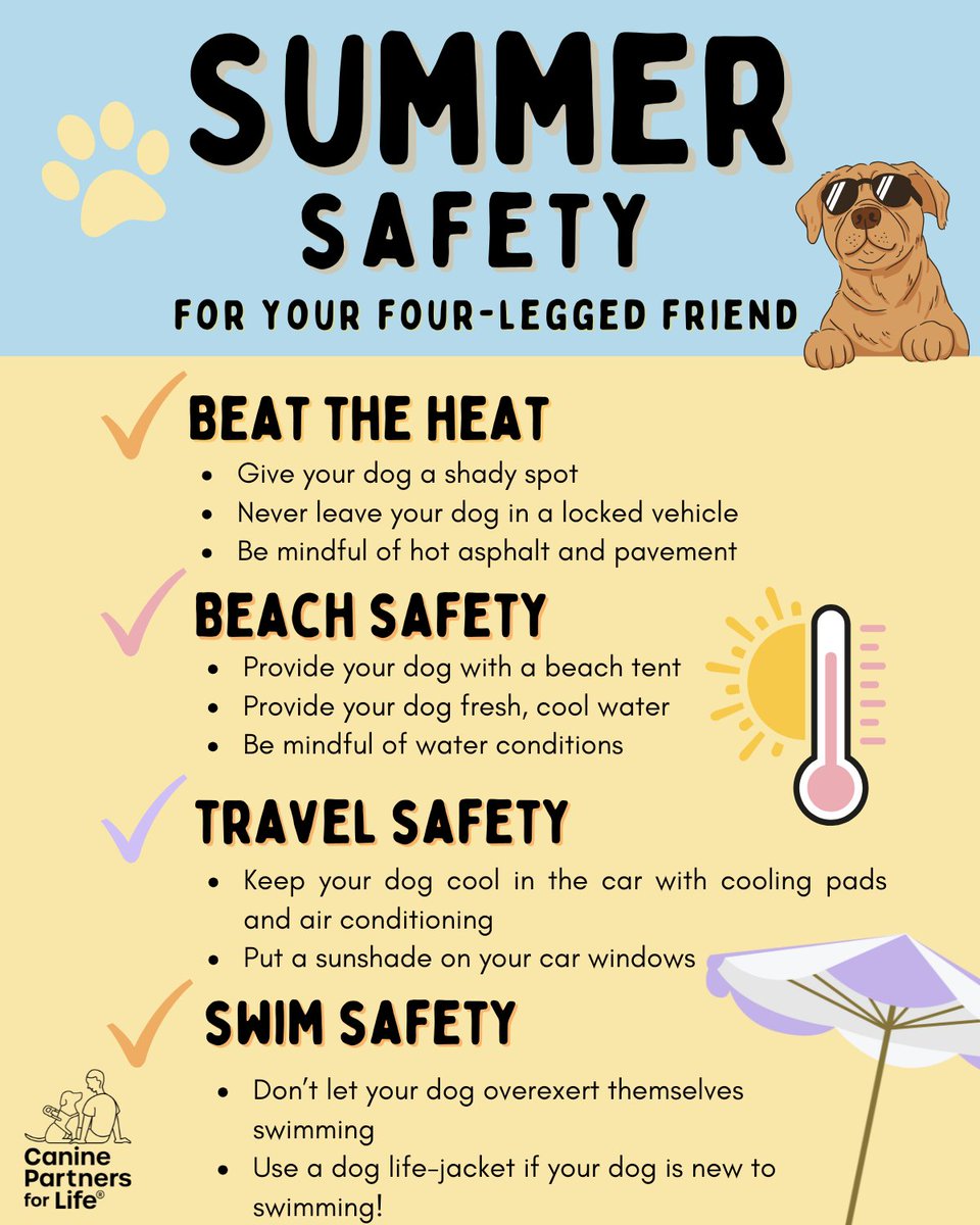 As we gear up for the Summer months and warmer weather, it is important that our four-legged friends are kept safe and cool! While spending more time outside with your dog, please keep in mind Summer Safety: akc.org/expert-advice/….