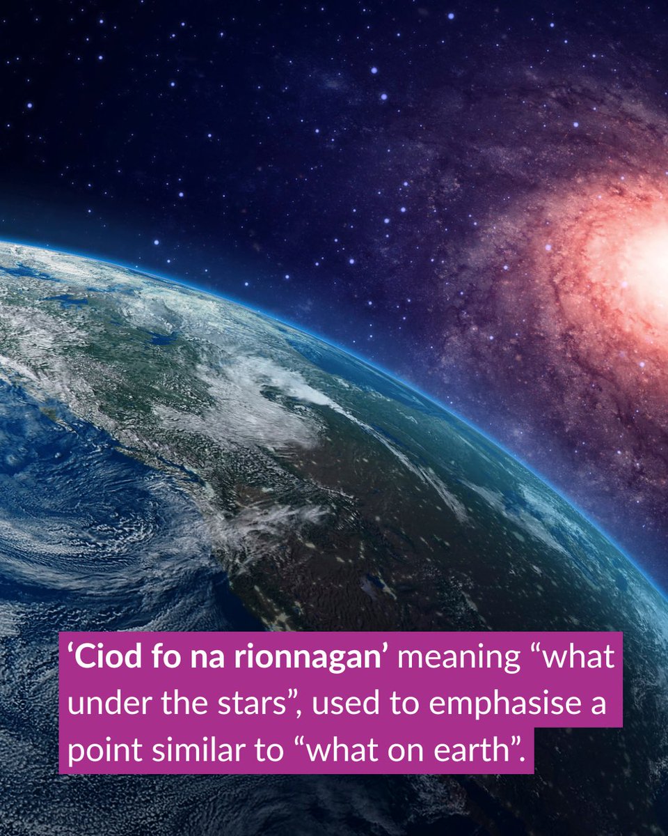 Scottish Government in Canada tweet media