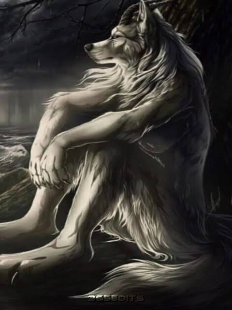 cavehag's tweet image. adventure time always knows when to come back for me……just when i need her most