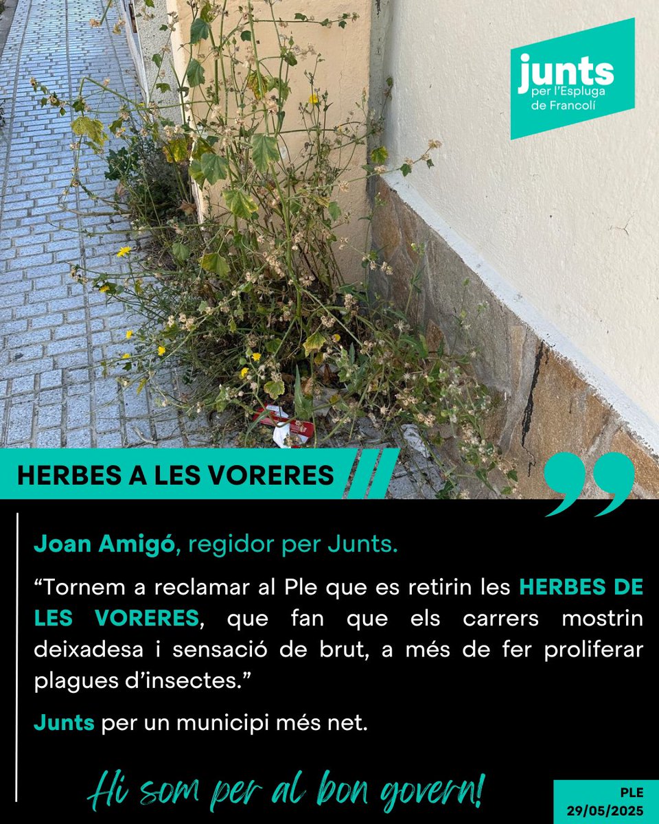 Tornem a reclamar al Ple que es retirin les herbes a les voreres, que fan que els carrers mostrin deixadesa i sensació de brut, a més de fer proliferar plagues d’insectes.

#esplugadefrancoli #JuntsxlEspluga #Espluga2027 #JuntsxCat #FemhoJunts