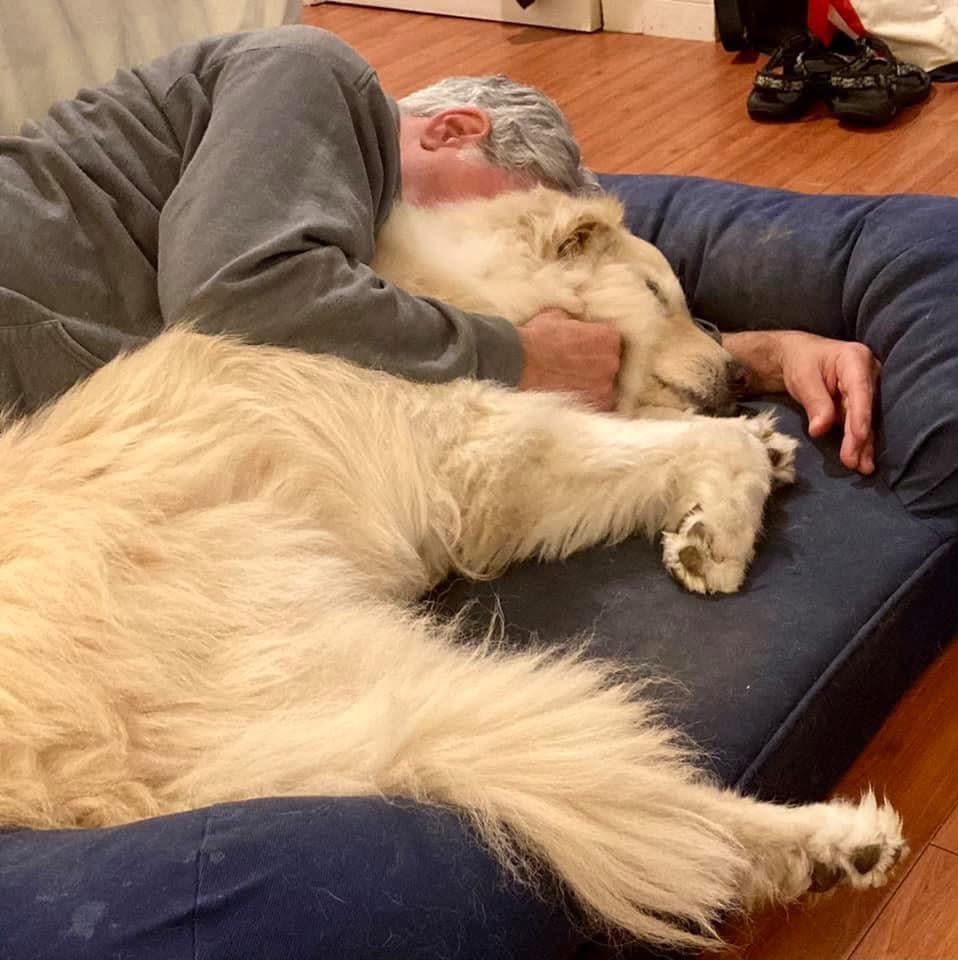 BryanMarquard's tweet image. One of Outlaw's many accomplishments was persuading me that naps are always a great idea. This was in Maine four years ago, or thereabouts. #Dogs #dogsontwitter @dogandpuplovers @dogcelebration @ok32650586 @JanMcLa96148225