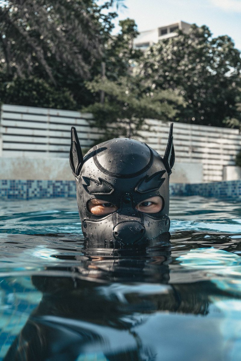 Notes for open pups' swimming pool:
1. All pups must play in the pool under the supervision of the handlers.
2. All pups must wear their gear when playing in the water and do not take it off!
Have fun playing~ 
Model &amp; 📷: @Kungfu_Cat
#GibbonBlack #PuppyPark