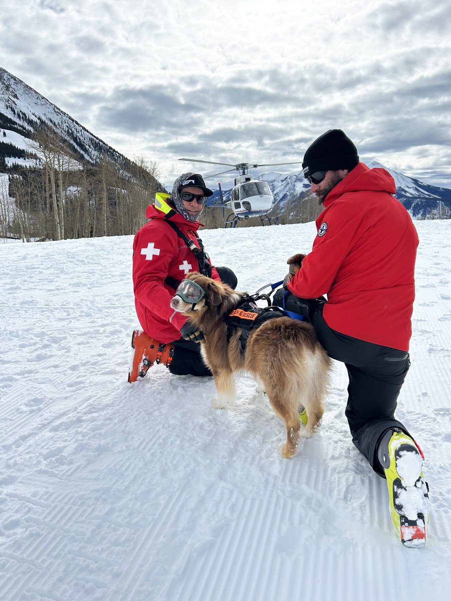 Meet Striker! 🐾 

This is just a sneak peek into an article featured in the upcoming Summer &amp; Fall Bluebird Days Magazine—coming out soon! 

Stay tuned to read more about Striker and many other amazing local dogs and their life in the mountains. 💙

#bringingdreamshome