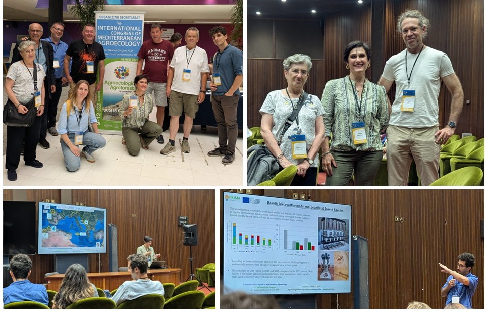 valmedalm's tweet photo. CONFERENCE | AEMED 2025
The VALMEDALM project was showcased at the 1st International Congress of Mediterranean Agroecology in Agrigento, Italy, from 9-12 June, 2025. 

https://t.co/FkOJNvJDXC
#valmedalm #PRIMAProgram #europeancommission https://t.co/K21lPpwyMD