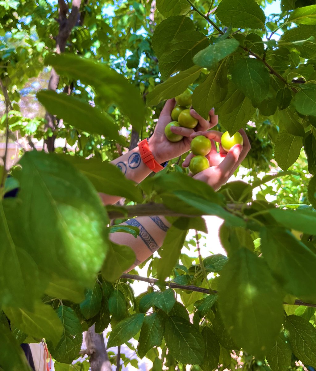 Dousariil's tweet photo. In the middle of nature's greenery 🌱 https://t.co/pL1e9EJUA5