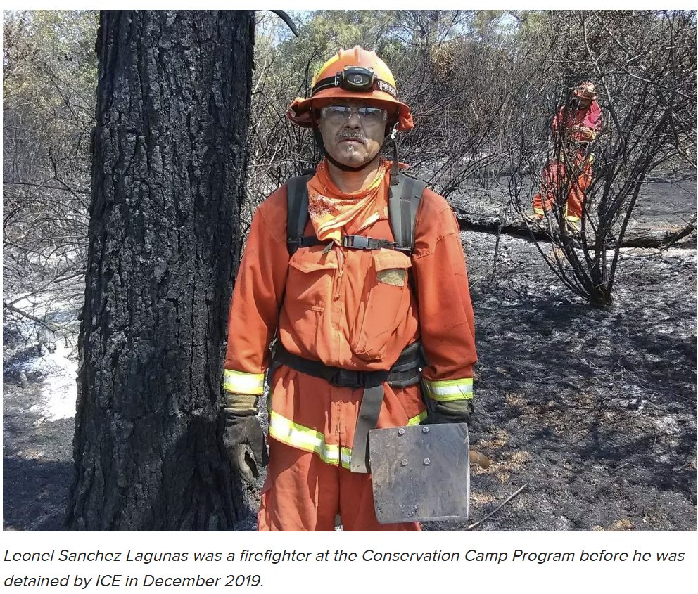 ICE's "public safety" narrative often collapses after scrutiny:

The guy on the left was a prison firefighter, a job not available to safety threats. He was granted bond from ICE detention in 2022.

Similarly, the man on the right was paroled by CA in 2022 for good behavior.
