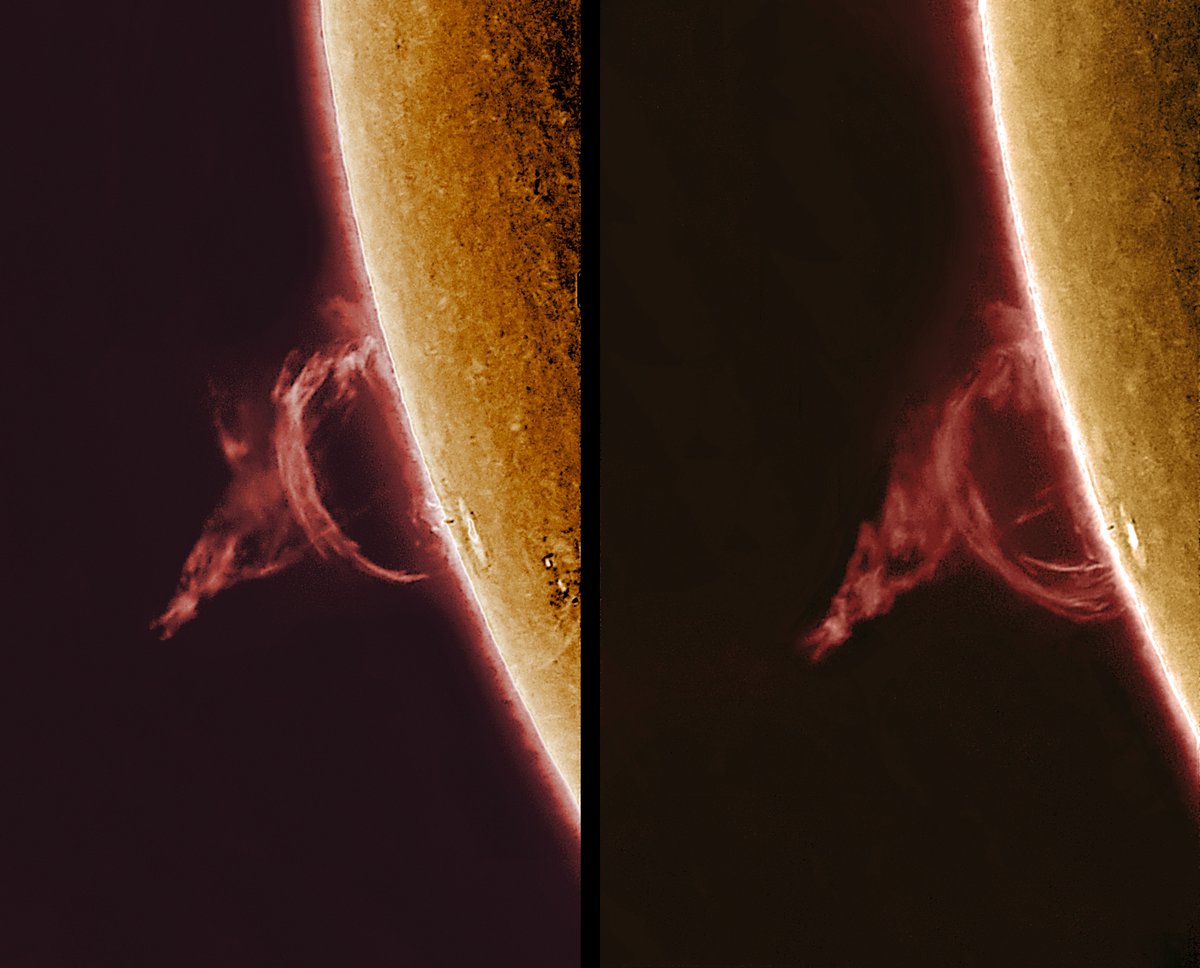 Komet123Jager's tweet photo. The telescope was running when a beautiful loop prominence appeared between gaps in the clouds and fully formed within a few minutes. The event lasted less than 20 minutes, after which the arc disappeared again. Two coloured images of the peak 2025-06-11  11.46 and 11.53 UT https://t.co/f0yQjKdeJN