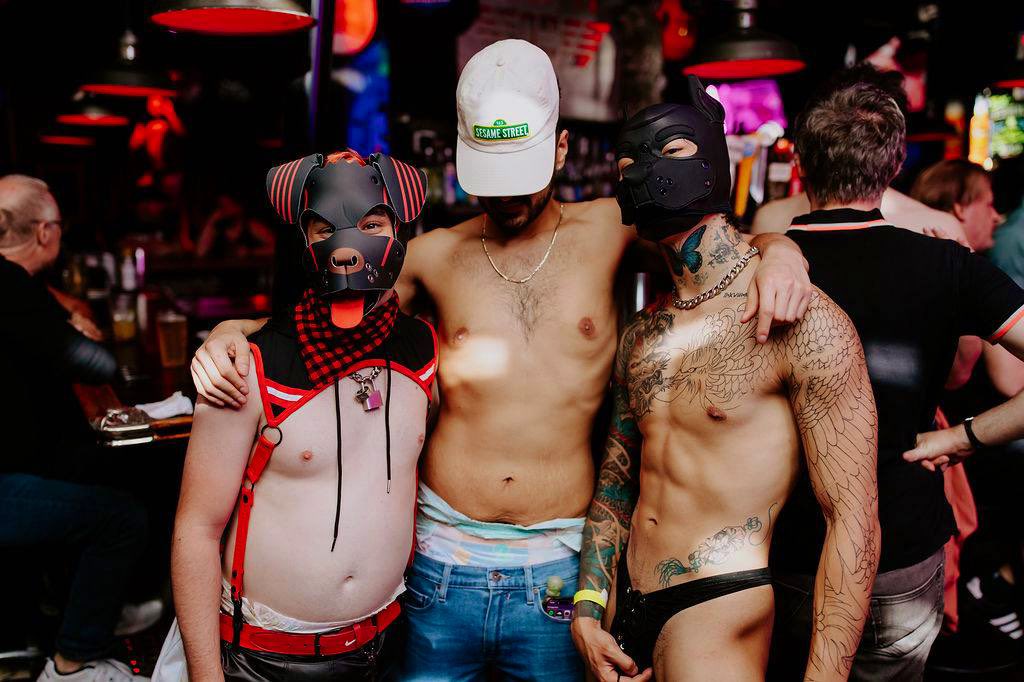 FrznCncntrdOJ's tweet photo. LA nights 🐾 @RubyPup123 @koreanbabyboi https://t.co/ZxCxea5kQF
