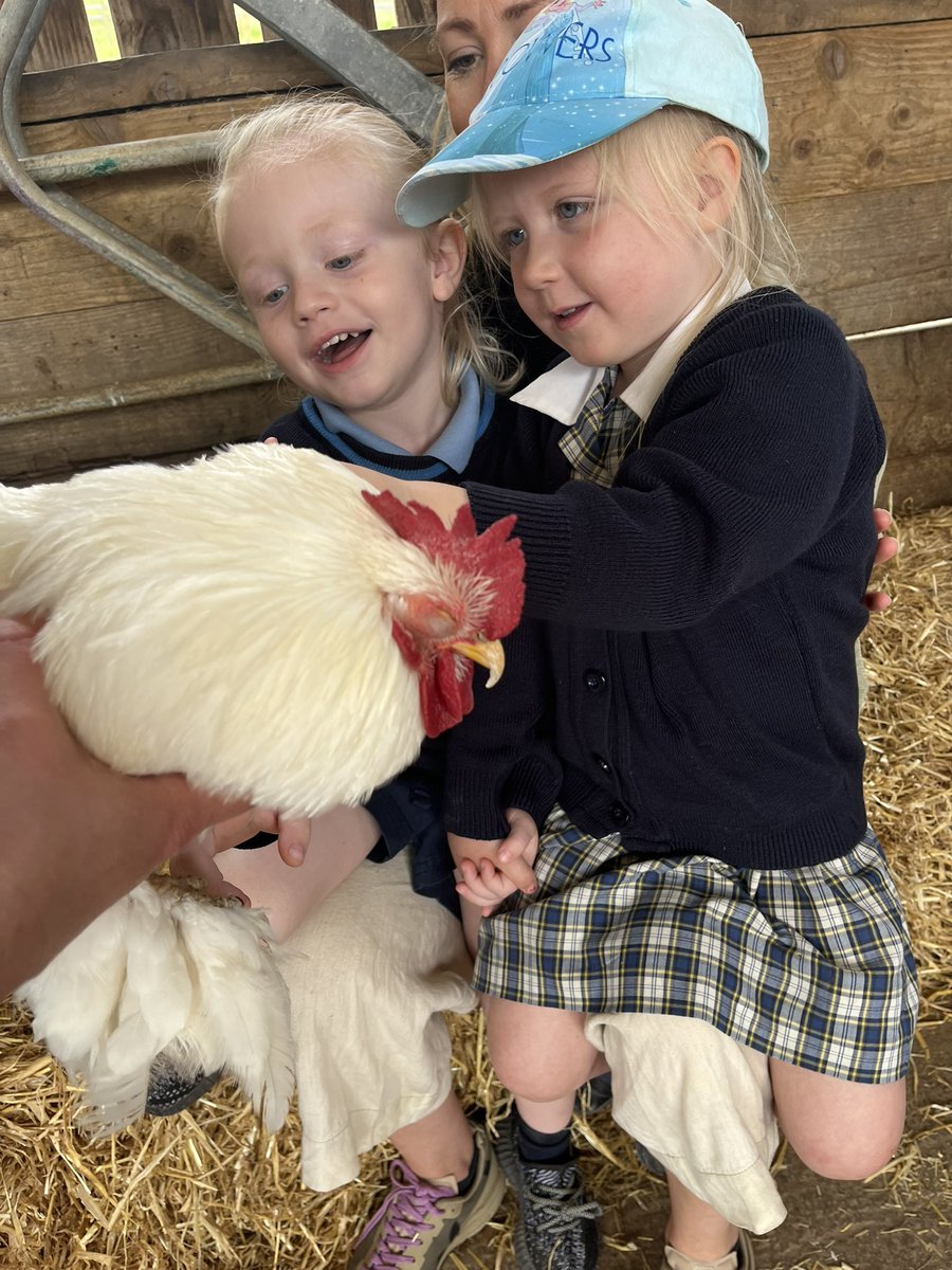 What a magical day Oaks had at <a href="/BuckleburyFarm/">Bucklebury Safaris</a>. The highlight being feeding the deer, a wonderful experience. <a href="/UptonHouseSch/">Upton House School</a>