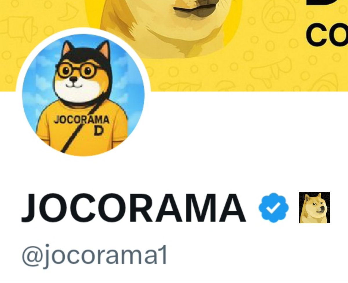 Jocorama's tweet image. Why don’t I have the @MyDoge Affiliate badge ? 🥹
And how do I get it ? 

I’ve been working without any salary, my friends... 🤣 @DogeOS 

#mydoge #dogeos #Dogecoin