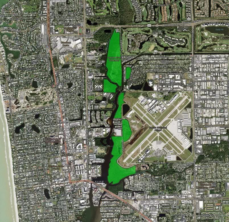 Collier Mosquito tweet media