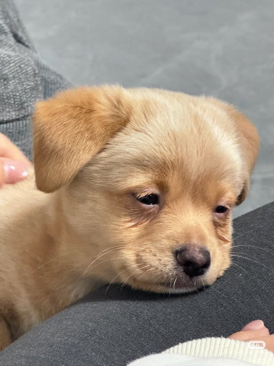 catshealdeprsn's tweet photo. mood https://t.co/rgFCK9DJC2