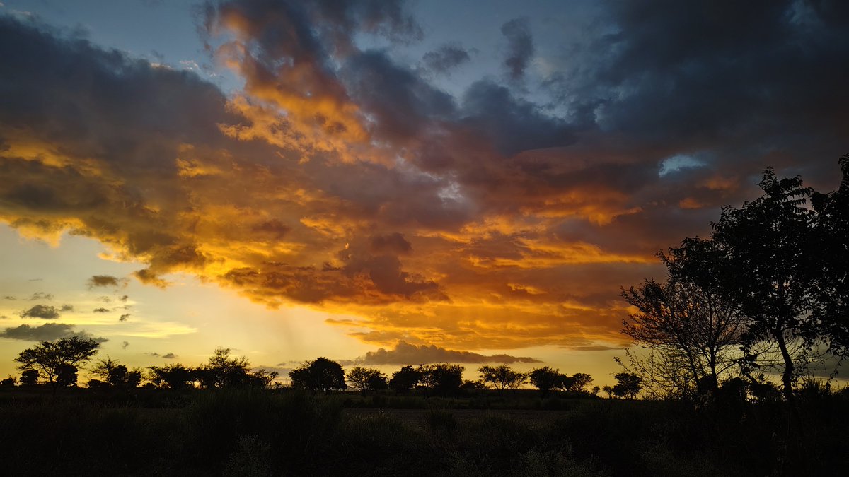SayaliB5's tweet photo. Forever the girl who will fall in love with every sunset!!! https://t.co/8gXOivL2bL