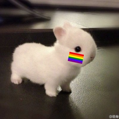 Poop fart. Gay. is.
