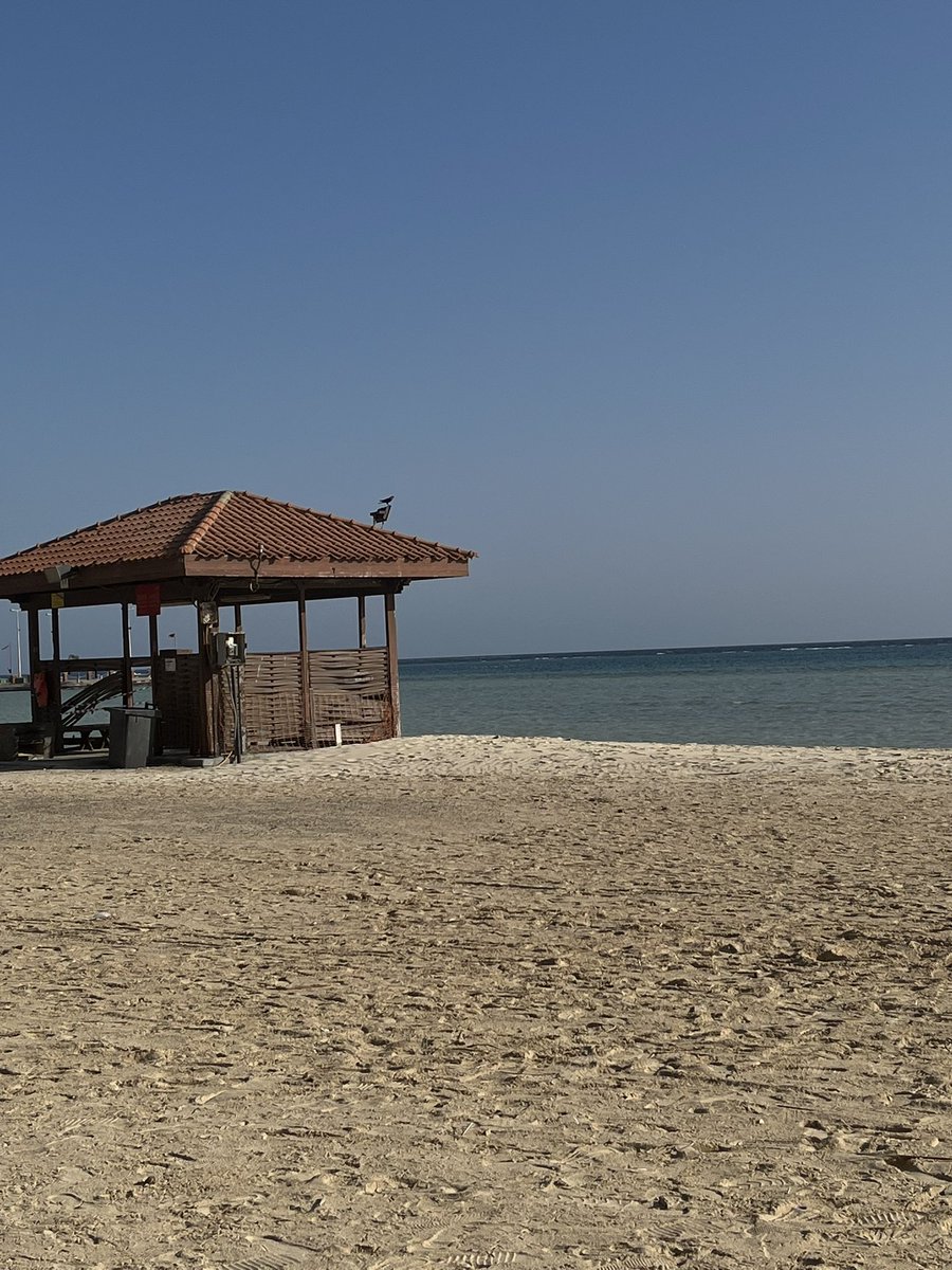 Unforgettable moments with the ones who matter most… where the sea meets our memories 🌊❤️