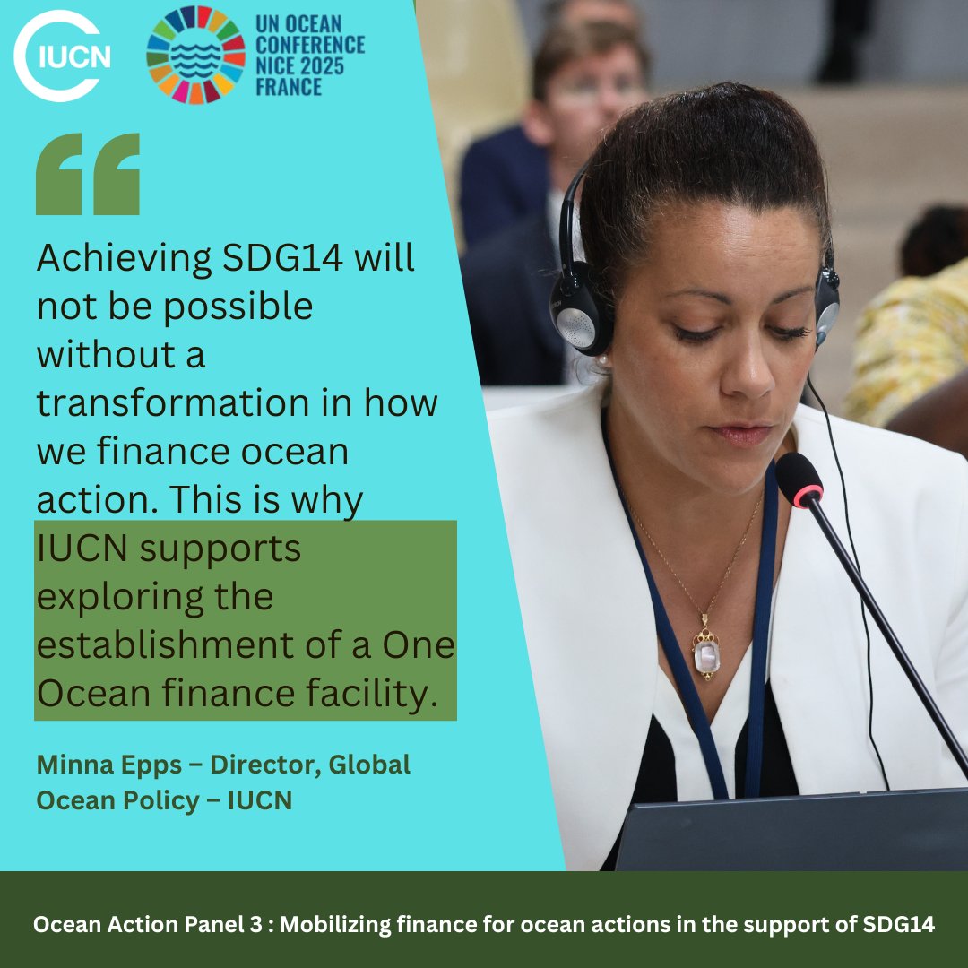 .<a href="/IUCN/">IUCN</a> stressed the need for new financing for ocean actions to achieve SDG14 during its intervention at the Ocean Action Panel 3 - UNOC3. We support a One Ocean finance facility for resilient marine ecosystems! 

#UNOC3 #SDG14 #BlueFinance #OceanAction