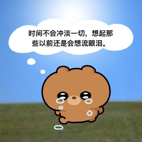 媒体预览