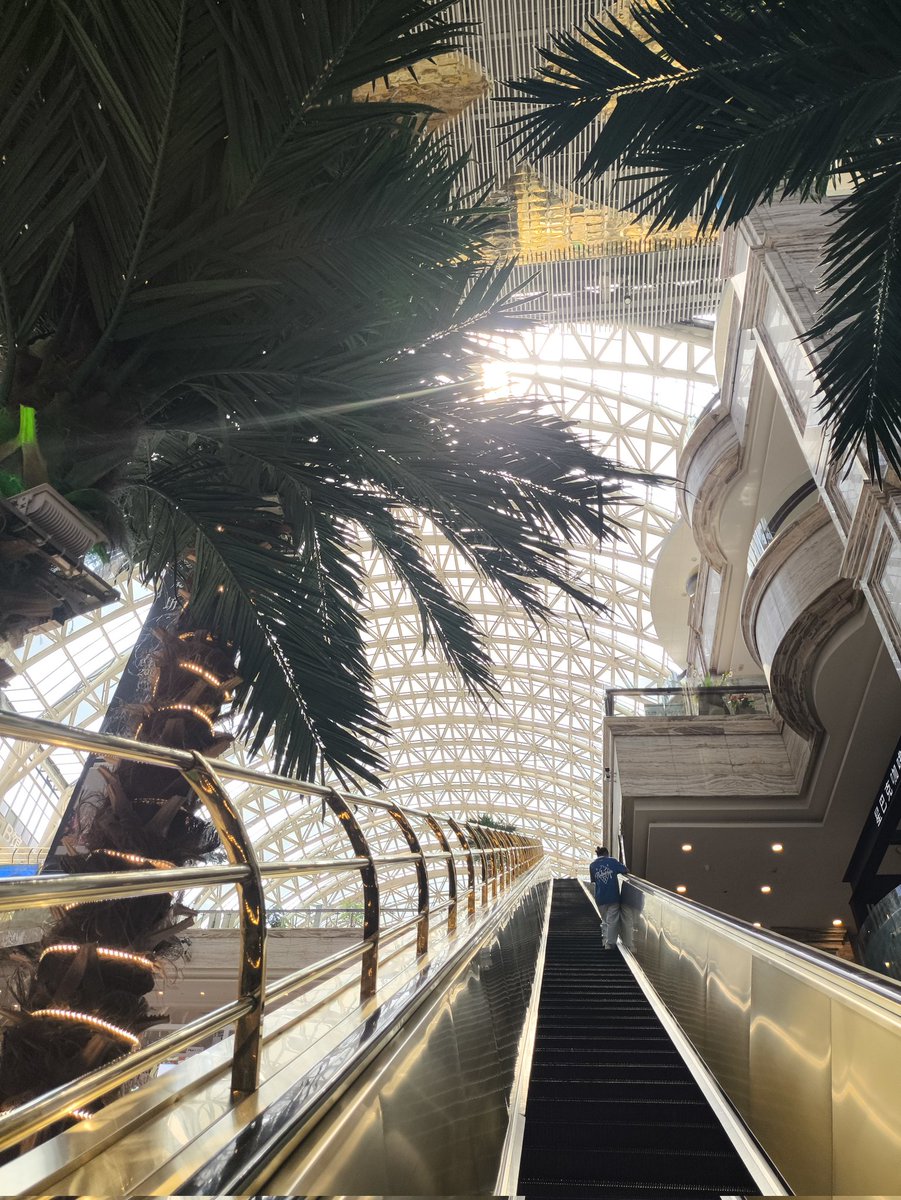 ThreeFirecards's tweet image. 天降天降天降