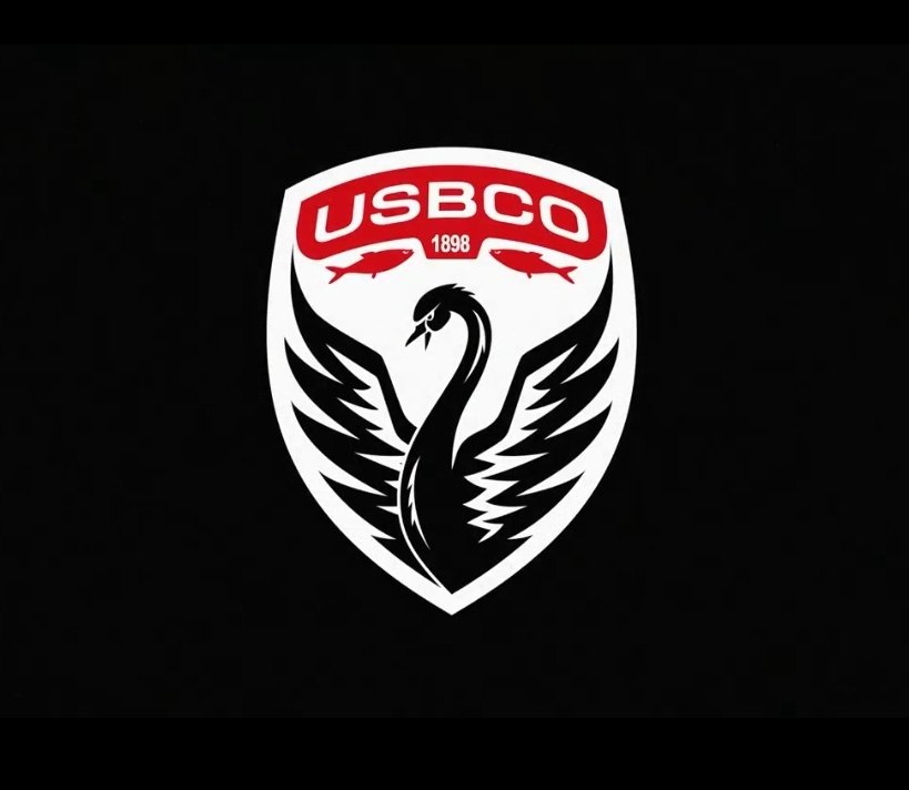 🚨 L'US BOULOGNE CHANGE DE LOGO ! 👀

Un avis sur le avant/après ? 🎨