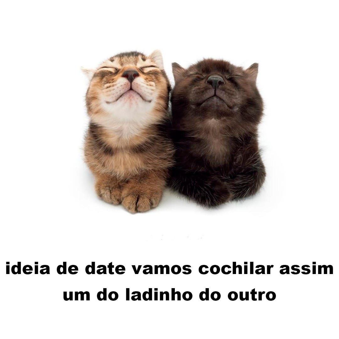 memeparaoarroba's tweet photo. https://t.co/Ut5gI8UZ78