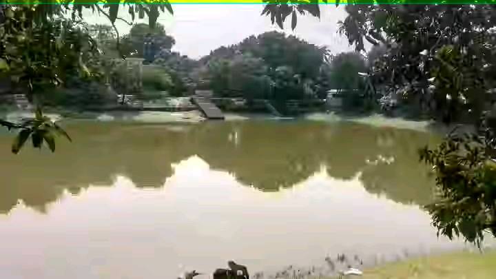 গোবিন্দগঞ্জে পৃথক ঘটনায় পানিতে ডুবে দুই শিশুর মর্মান্তিক মৃত্যু