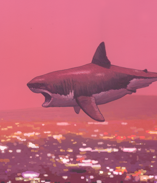 BSMT Space tweet media