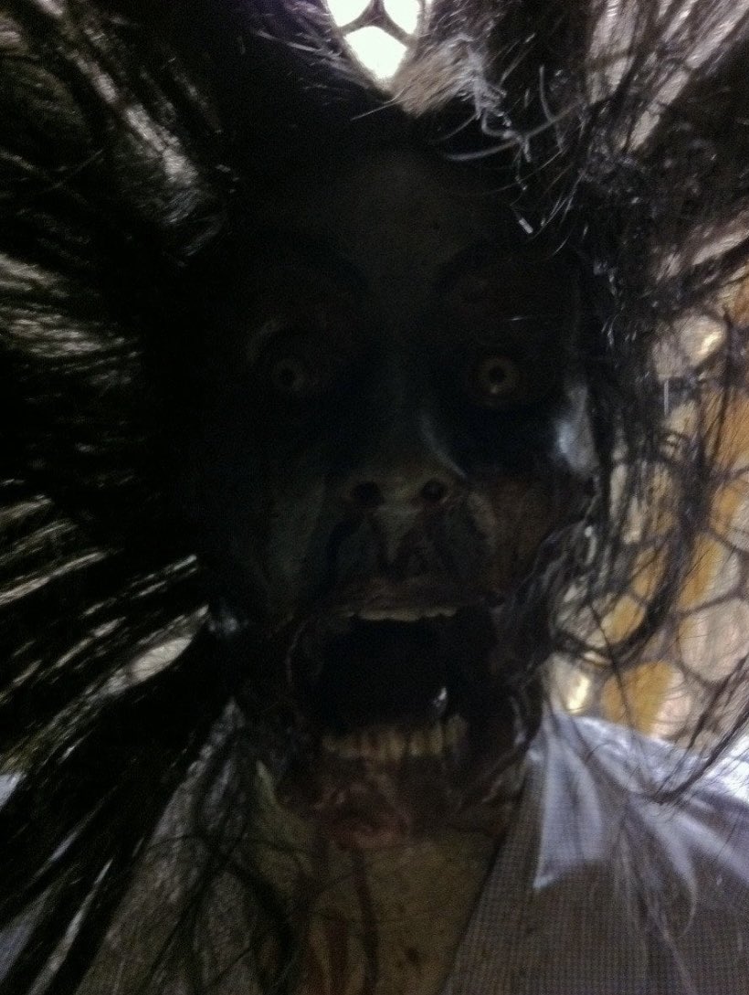 Imagine waking up in the middle of the night and seeing this over you, wyd?
