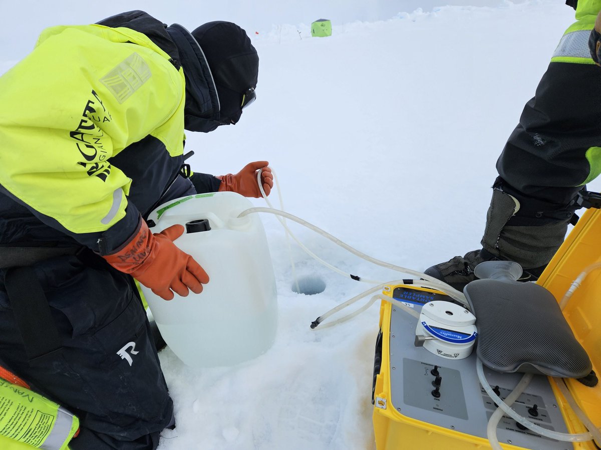 scientificgio's tweet image. How do we get the organisms that live within the ice? A sack hole is a hollow cylinder in which surrounding brine collects trickling in through brine channels in the ice. We use a field peristaltic pump to collect it as cleanly as we can.