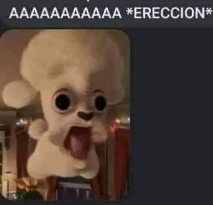 pooh🕳️ tweet media